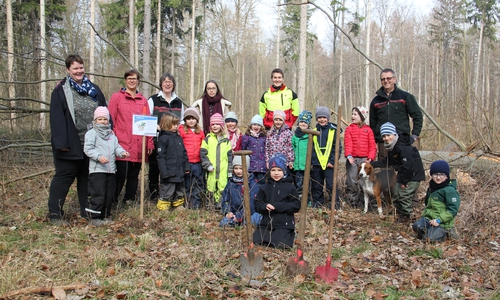 Die Kinder haben Flatterulmen im Lechlumer Holz gepflanzt. Foto: Niedersächsische Landesforsten
