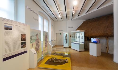 Am Sonntag, den 11. Februar 2018 um 14 Uhr, bietet sich bei einer öffentlichen Führung durch die Sonderausstellung „Stück für Stück ins Grab. Abschied vor 4000 Jahren“ in der Kanzlei in Wolfenbüttel die Gelegenheit, mehr über die Bestattungsriten der sogenannten Glockenbecher- Kultur im Braunschweiger Land zu erfahren. Foto: A. Pröhle, Braunschweigisches Landesmuseum