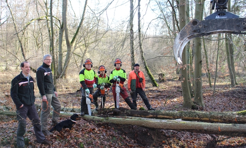 Noch bis Ende nächster Woche sind die Forstwirte rund im Hasselbachtal tätig. Foto: Eva Sorembik