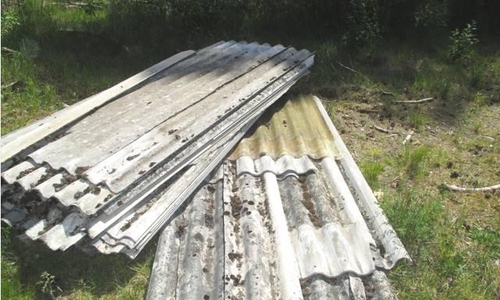 Wer kann Hinweise zur Herkunft geben? Foto: Polizei