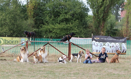 Spaß für Zwei- und Vierbeiner. Foto: Int. Rasse-Jagd-Gebrauchshunde-Verband e.V.