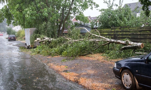 Symbolfoto: Rudolf Karliczek