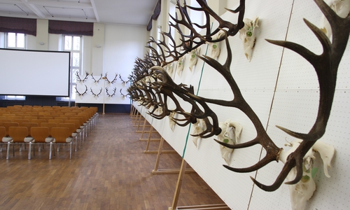 Foto: Niedersächsischen Landesforsten