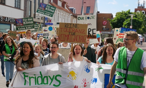 In Gifhorn gibt es eine von deutschlandweit über 500 Ortsgruppen von Fridays for Future. Fotos: Fridays for Future Gifhorn