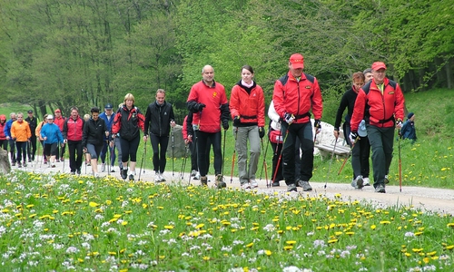 Nordic-Walker im WeltWald Harz bei Bad Grund. Foto: Archiv Landesforsten