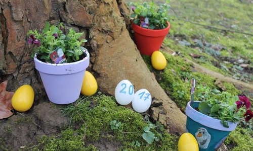 Zu Ostern bietet das JFZ wieder eine bunte Mischung. Foto: Jugendfreizeitzentrum Wolfenbüttel