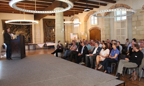 Im Rittersaal des Schlosses Gifhorn diskutierten die Mitglieder der ILE-Region Südkreis Gifhorn über mögliche neue Projekte. Foto: Julian Bergmeier 