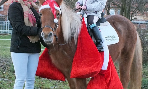 Das Pony des Nikolauses mit Geschenksäcken. Geführt von Wilhelmine Kloth und mit der 6-jährigen Emmily Huth im Sattel. Foto: Verkehrswacht