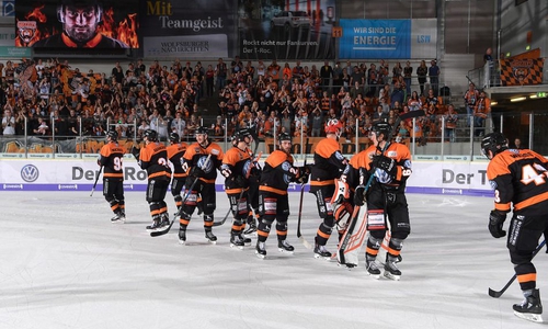 Fans und Spieler werden im Zug nahe bei einander sein. Foto: Grizzlys-Wolfsburg/City-Press GmbH