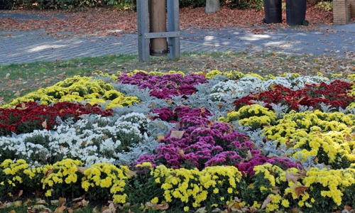 Das Blumenbeet am Pumpenplatz. Foto: Jürgen Lingelbach
