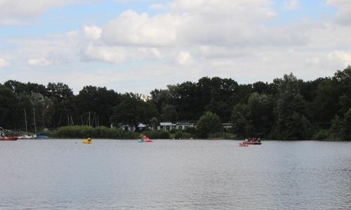 Die Wasserpflanzen im Allersee werden ab dem morgigen Donnerstag mit einem Mähboot zurückgeschnitten.