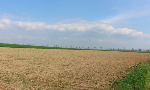Drei Entwürfe wurden für dieses geplante Baugebiet vorgestellt. Foto: Max Förster