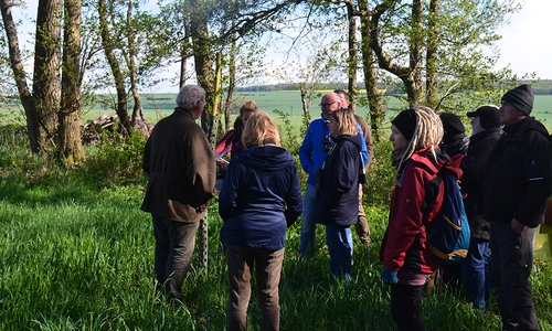 An den Amphibienlaichgewässern im Großen Bruch. Foto: Cornelia Schilling