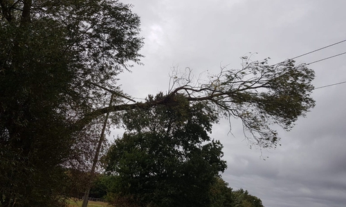 Der Baum war auf die 20.000 Volt-Freilandleitung gefallen. Foto: Carsten Schaffhauser, Leiter FB Presse- & Öffentlichkeitsarbeit der Samtgemeindefeuerwehr Meinersen