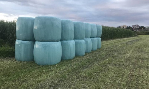 Heulage in Ribbesbüttel.
Foto: Polizei