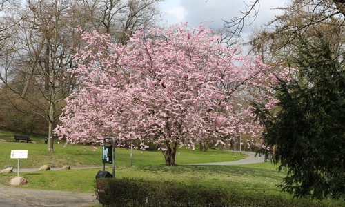 Symbolbild: Robert Braumann