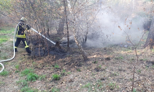 Die Feuerwehr hatte den Brand schnell unter Kontrolle. Fotos: Feuerwehr Mariental/Feuerwehr Grasleben