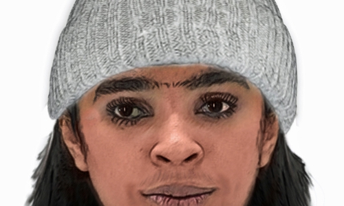 Eine Täterin konnte dank einer Zeugin skizziert werden. Zeichnung: LKA Niedersachsen