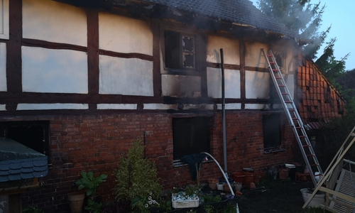 Die Feuerwehr hatte den Brand schnell unter Kontrolle. Fotos und Video: aktuell24/KR