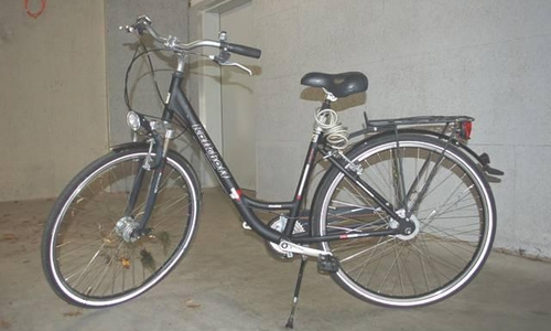 Wem gehört dieses Damenfahrrad? Hinweise bitte an die Polizei. Foto: Polizei