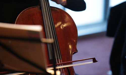 Mit seinem Cello konnte Alexander Galter beim Landeswettbewerb überzeugen. Symbolbild: Pixabay