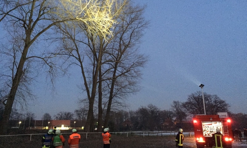 Die Feuerwehr im Einsatz - Zur Tierrettung wird der Baum ausgeleuchtet. Foto: Freiwillige Feuerwehr Müden/ Dieckhorst, Timm Bussmann