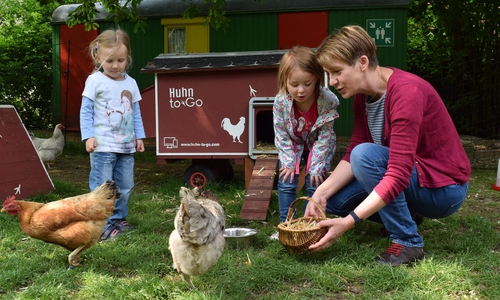 Jana Machnik und ihre Schützlinge Freda und Mira zeigen den Hühnern Blume und Berta die Eier im Körbchen. Foto: Stadt Goslar