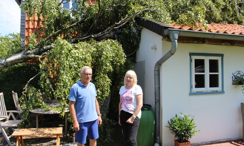 Wolfgang und Elfi Neumann sind geschockt. Die massive Birke wurde entwurzelt und stürzte auf ihr Hausdach. Fotos: Alexander Dontscheff