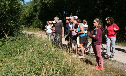Foto: Bündnis 90/Die Grünen OV Cremlingen