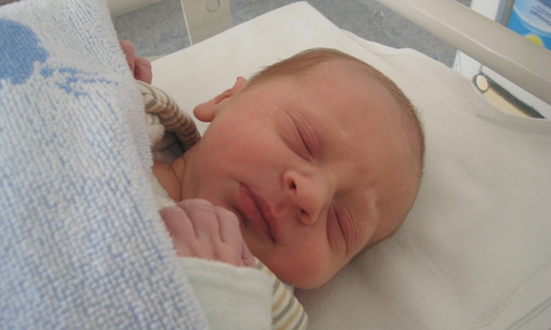 Kranken oder zu früh geborenen Babys kann bald mit Muttermilch systematisch besser geholfen werden. Symbolfoto: Werner Heise