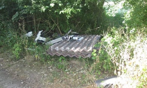 15 Asbestdachplatten in einem Naturschutzgebiet. Foto: Polizei Wolfsburg