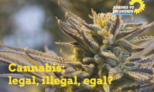 Die Fraktion Bündnis 90/DIE GRÜNEN Wolfenbüttel lädt zu einer Diskussionsveranstaltung zum Thema: "Cannabis: legal, illegal, egal?". Foto: Grüne