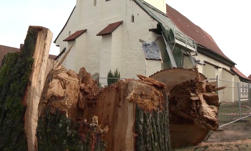 Die frisch sanierte St. Pankratiuskirche in Hankensbüttel wurde bei Baumfällarbeiten stark beschädigt. Video/Foto: aktuell24(BM/SK)