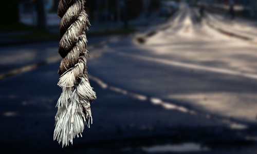 Das arme Tier hatte keine Chance gegen das große Auto. Symbolfoto: Alexander Panknin