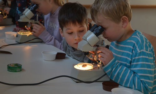 Für die Kleinen war die Untersuchung sichtlich interessant. Foto: Cornelia Schilling