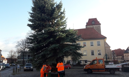 Der „erste“ Schöninger Weihnachtsbaum fiel am Wochenende dem Sturm zum Opfer. Heute wurde bereits Ersatz organisiert. Foto: Stadt Schöningen