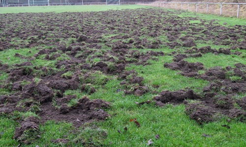 Der B-Platz der Germanen wurde großflächig umgegraben. Foto: privat