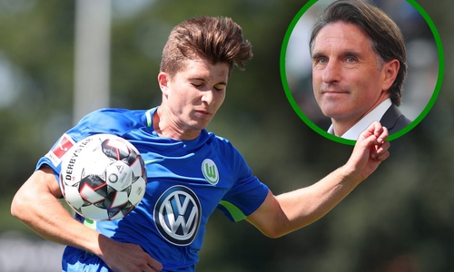 Elvis Rexhbecaj als Ersatz für Josuha Guilavogui? Trainer Labbadia sieht den Youngster vorne, ist gegen Bayer 04 noch sieglos. Fotos: Agentur Hübner