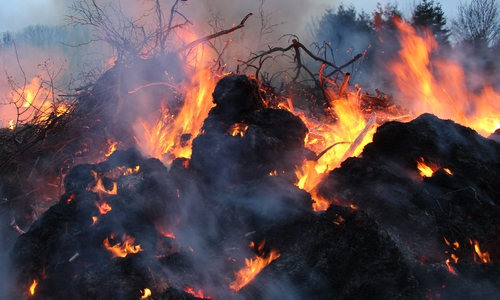 Wird der neue Naturschutzgebiets-Status den Cremlingern das Osterfeuer vermiesen? Symbolfoto: Jonas Walter