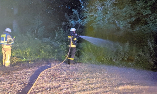 Innerhalb einer Stunde konnten die Einsatzkräfte die kleinen Feuer vollständig löschen. Foto: Feuerwehr Helmstedt