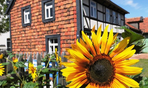 Gärtnermuseum. Foto: Privat