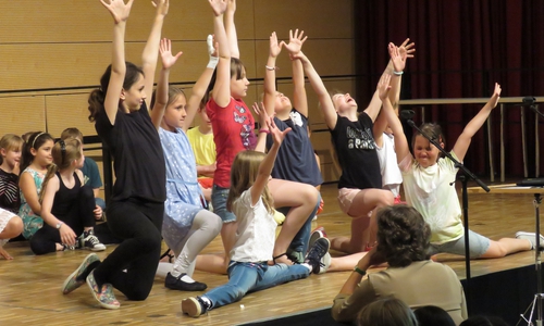 Am Dienstag fand der Traditioneller Kulturabend an der Wilhelm-Raabe-Schule statt. Fotos: Ulrike Jentzsch
