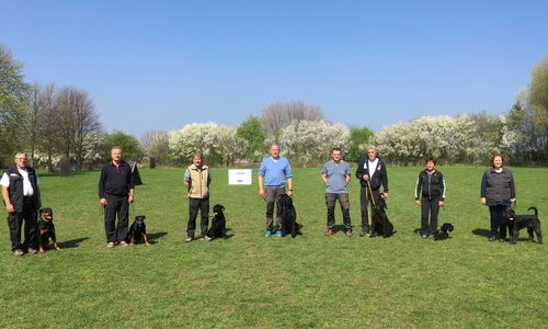 Anfang April veranstaltet der Pinscher-Schnauzer-Klub Braunschweig-Apelnstedt die Frühjahrsprüfung. Foto: Glier 