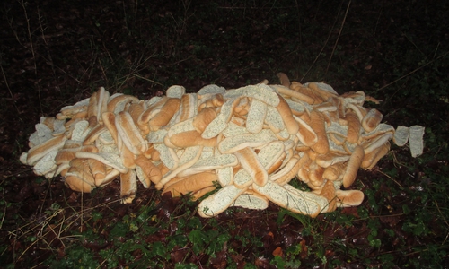 Brötchenberg an Innerstetalsperre. Foto: Polizeiinspektion Goslar