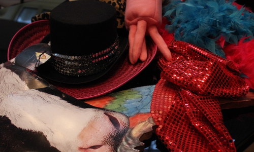 Der Linke-Kreisverband veranstaltet am 10. Februar 2016 einen politischen Aschermittwoch mit dem aus dem Fernsehen bekannten Kabarettisten Frederic Hormuth. Symbolfoto: Anke Donner 