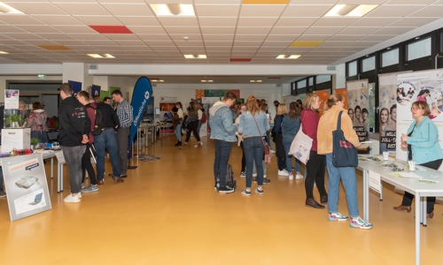 An den zahlreichen Infoständen konnten sich die Schüler über verschiedene Berufsfelder und Studiengänge informieren. Fotos: Tanja Bischoff