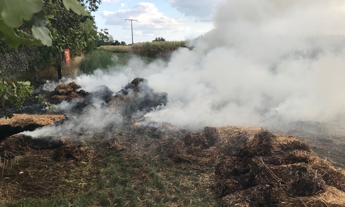 Die Feuerwehr konnte zwar schlimmeres verhindern, Schaden entstand aber trotzdem. Foto: Pressestelle der Freiwilligen Feuerwehr der Samtgemeinde Meinersen / Bußmann