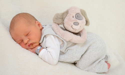 Jayden Maddox Mohr. Foto: babysmile24.de