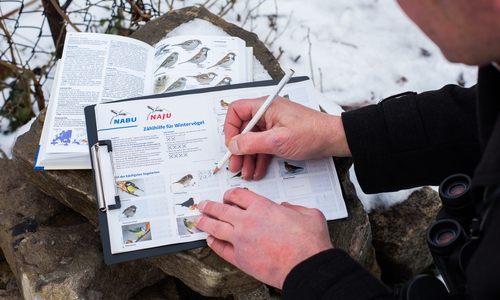 So einfach geht's: Einfach die Wintervögel zählen und abhaken. Foto: NABU