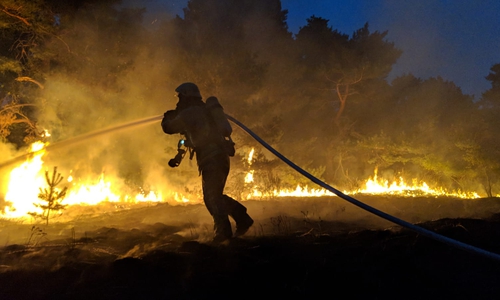 Bei sengender Hitze kämpften die Kameraden an der Feuerfront. Foto: Feuerwehr Helmstedt